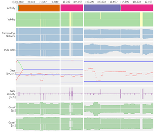 Visual Data Cleansing of Low-Level Eye Tracking Data