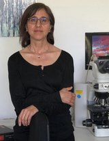Prof. Dr. Kathy Keyvani