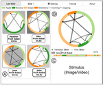 Visual Comparison of Eye Movement Patterns
