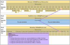 Task-based assessment of visualization tools for the comparison of biological taxonomies